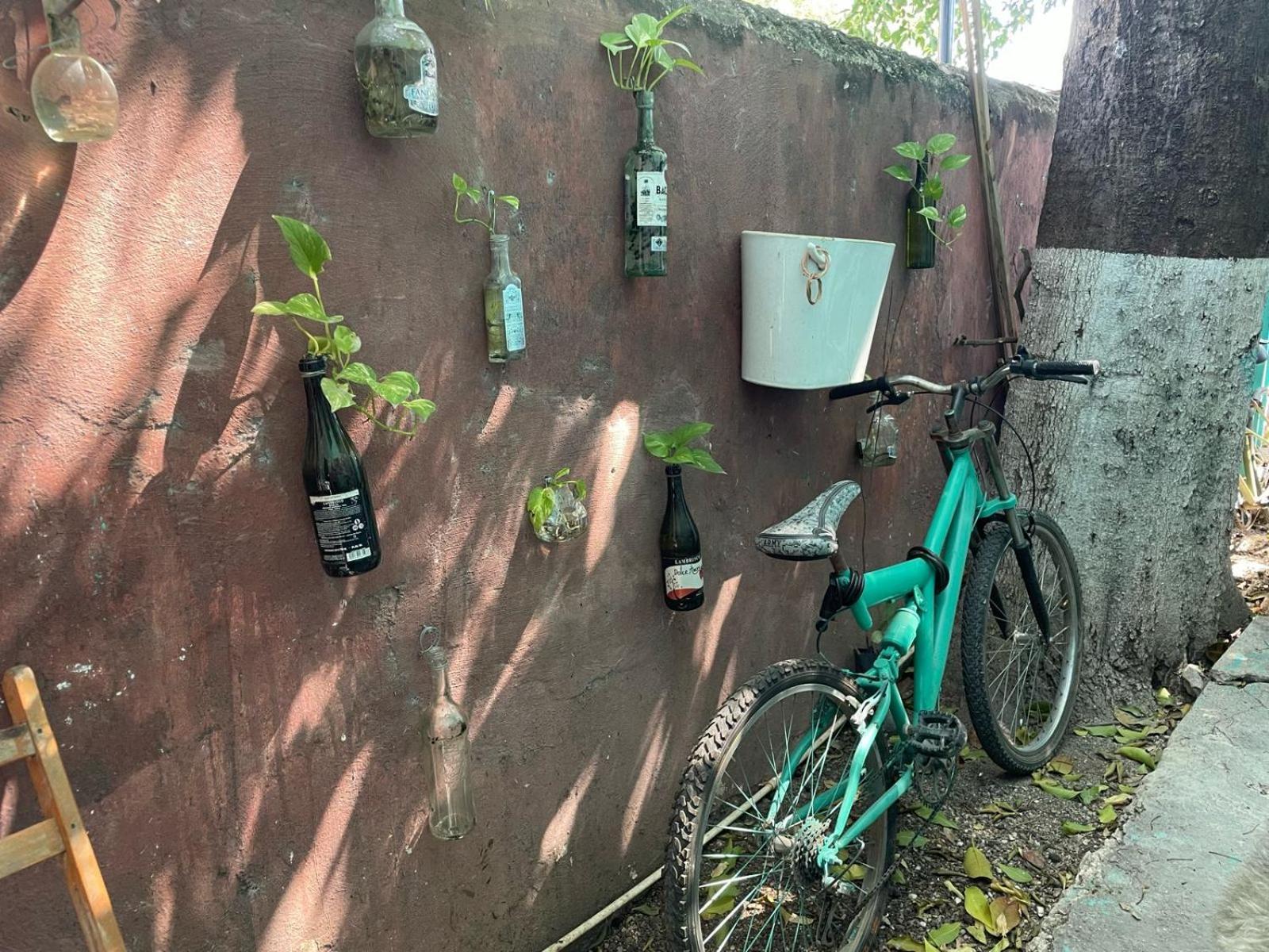 La Casa Del Keej Hostel Merida Bagian luar foto
