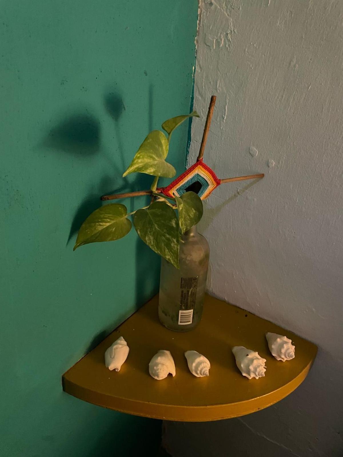 La Casa Del Keej Hostel Merida Bagian luar foto