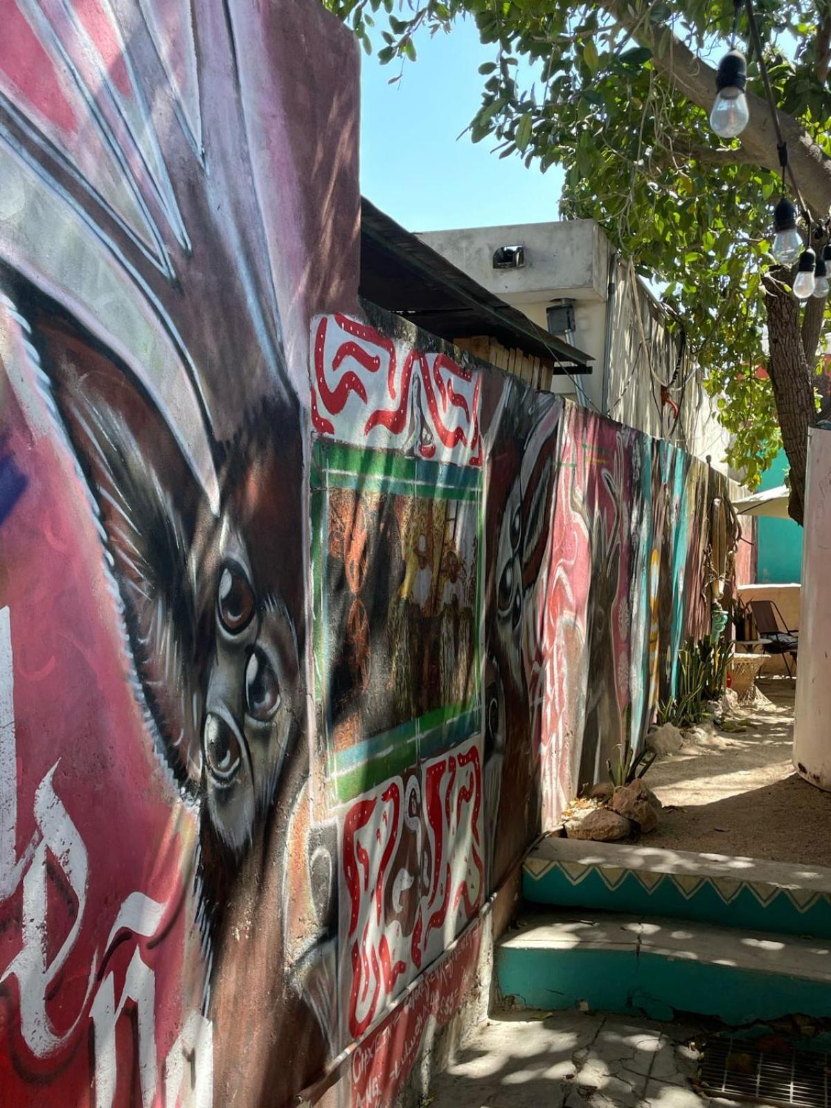 La Casa Del Keej Hostel Merida Bagian luar foto